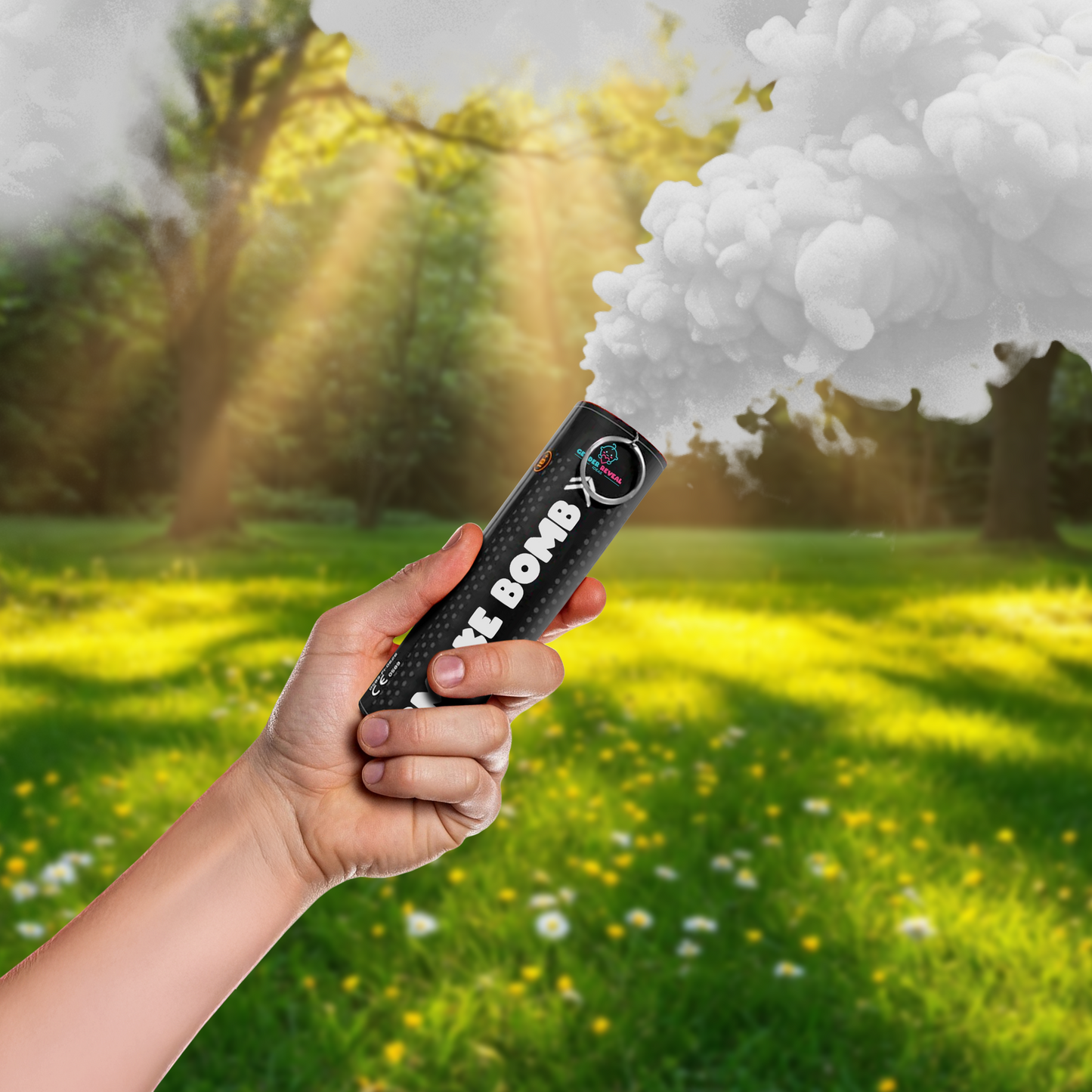 Hand holding a black Gender Reveal Smoke Bomb emitting white smoke in a sunny green outdoor setting.