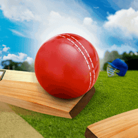 Gender Reveal Cricket Ball red with white stitching on cricket bat on grassy field under blue sky.