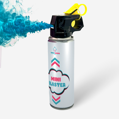 Gender Reveal Powder Smoke Mini Blaster/ Extinguisher