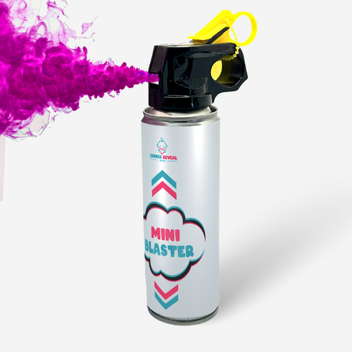 Gender Reveal Powder Smoke Mini Blaster/ Extinguisher