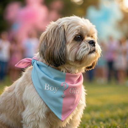 Gender reveal dog bandana in pink and blue colors